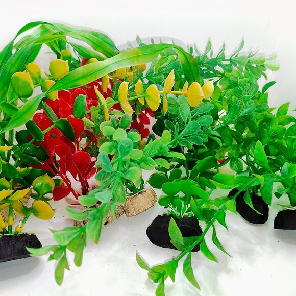 An bunch of used aqaurium plants - Picture 5 of 5